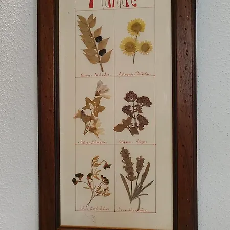 La Taverna Di Maria *